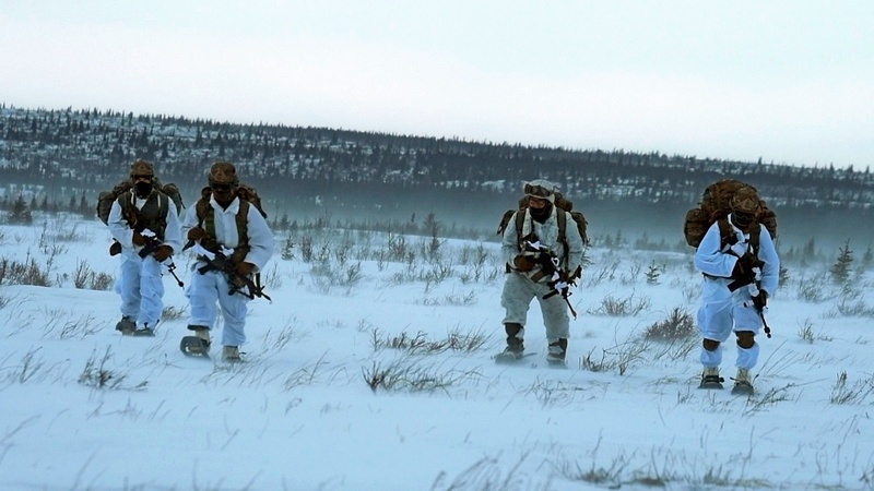 Известен факт подготовки как минимум трёх отрядов «зелёных беретов» для возможной заброски в Арктику.